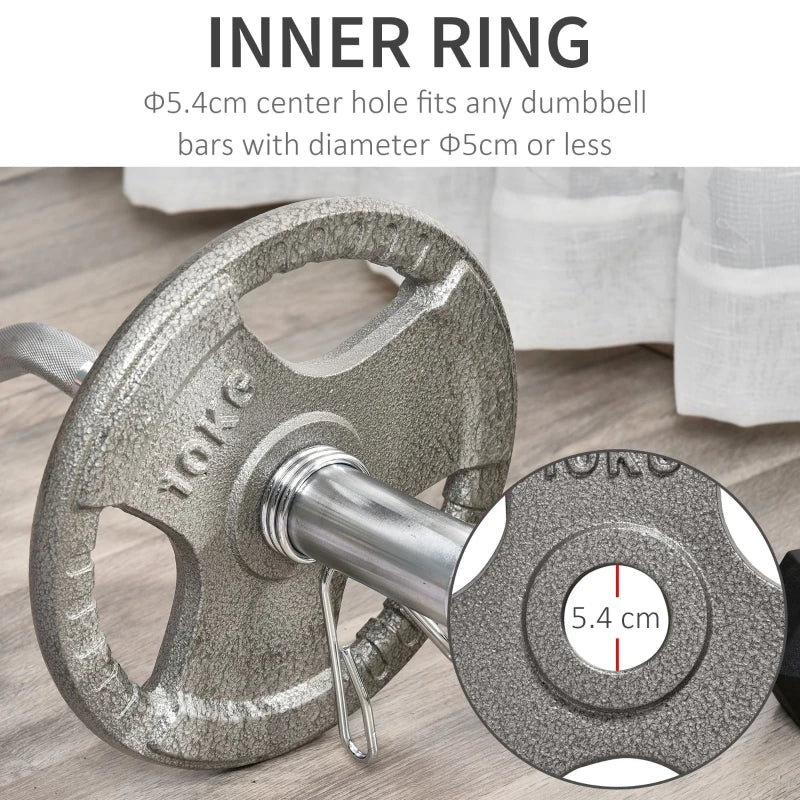 PINGGO Set of 2 Cast Iron Weight Plates for 2"/5cm Hole Barbell Weight 2 x 10kg