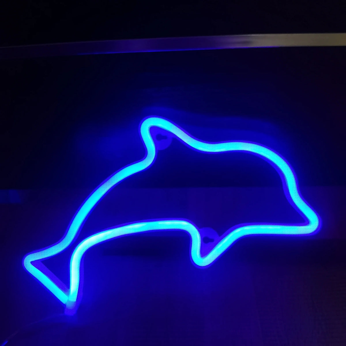 LED Neon Light, Suitable for Colorful Party Decoration,