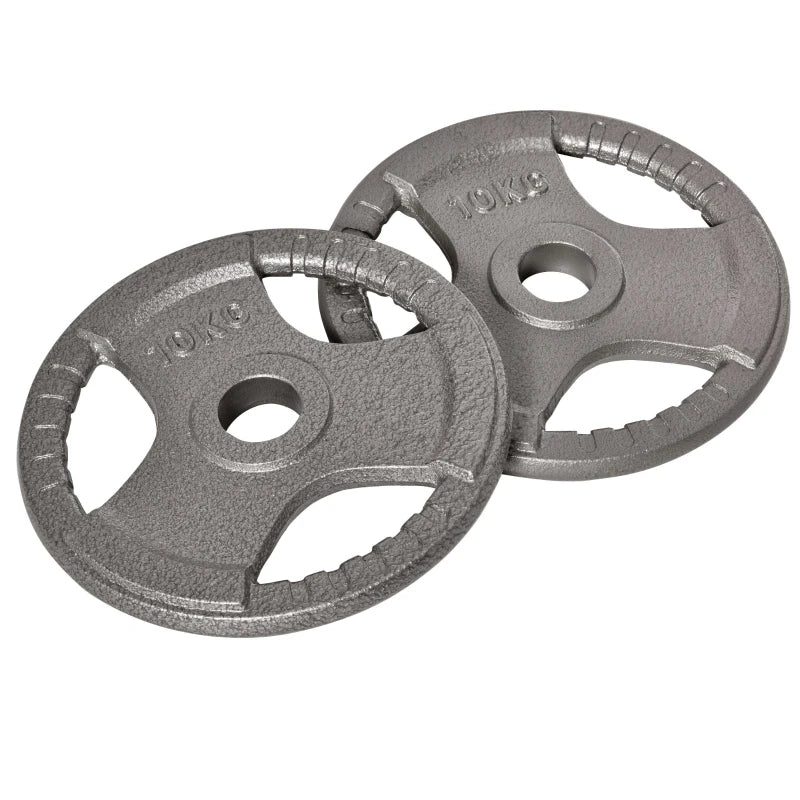 PINGGO Set of 2 Cast Iron Weight Plates for 2"/5cm Hole Barbell Weight 2 x 10kg